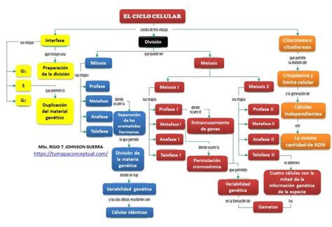 CÓMO CREAR UN MAPA CONCEPTUAL ONLINE