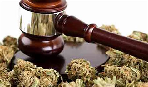 Employee protections in the era of medical marijuana legislation | Quest