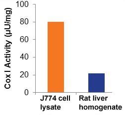 Cyclooxygenase (COX) Activity Assay Kit (Fluorometric) (ab204699) | Abcam