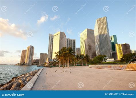 Bayfront Park Und Downtown Skyline, Miami Stockbild - Bild von ...