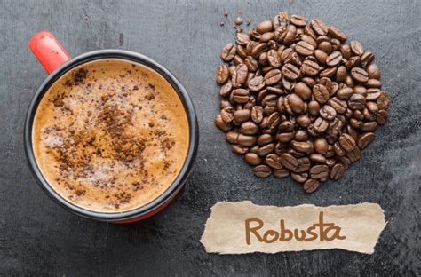 6 Best Robusta Coffee Brands For A Powerful Wake-up Call