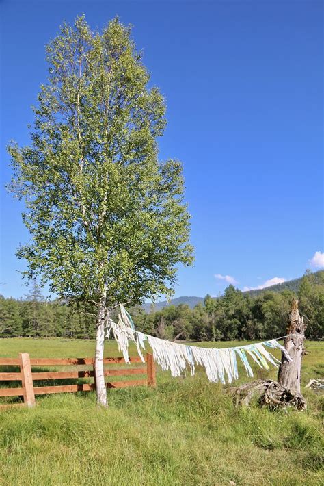 Karakol Valley, Chuyskiy Tract, Altai Republic, Siberia, R… | Flickr