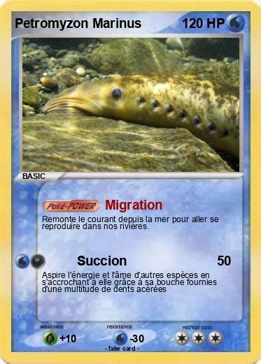 Pokémon Petromyzon Marinus - Migration - My Pokemon Card