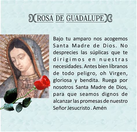 Virgencita de Guadalupe frases - Imagui