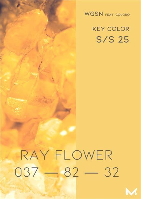 an orange and yellow poster with the words, ray flower 087 - 822
