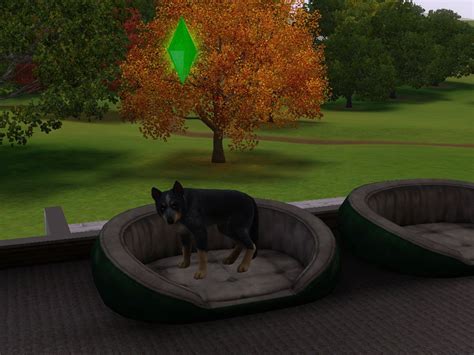 How to Get Pets in The Sims FreePlay | Tom's Guide Forum