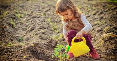 Best Seeds for Kids, Fast Growing Flowers and Vegetables