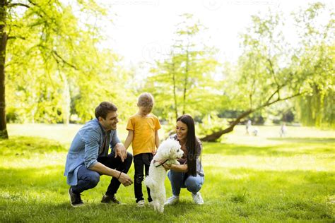 Beautiful happy family is having fun with bichon dog outdoors 5043702 ...