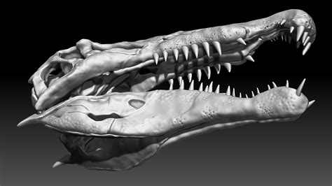 ArtStation - Spinosaurus Skull Set | Game Assets