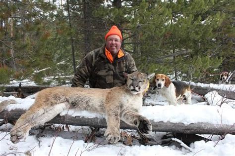 7-day Wyoming Mountain Lion Hunt for One Hunter - Safari Club International