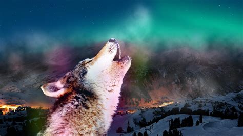 Wolf Howling at the Red Moon Wallpaper (62+ pictures) - WallpaperSet