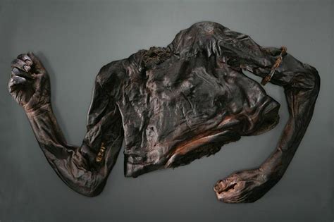 Carfax Asylum • Bog Bodies, or the Bog People, are extremely well...