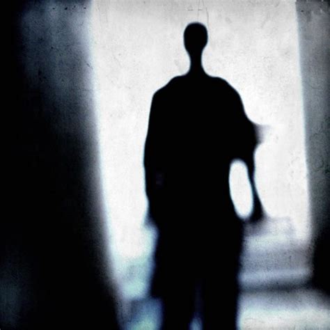 257 best images about Shadow People on Pinterest | Peripheral vision, Paranormal photos and Ghosts