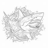 Desenho Para Colorir Tubarão sketch template