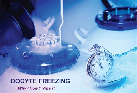 Cost of Oocyte Cryopreservation in Indore | Indore Infertility Clinic