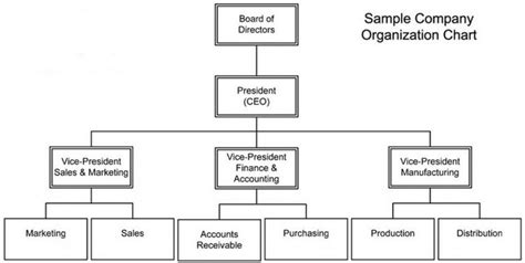 Free Company Structure Chart Template | Organizational chart, Org chart, Chart