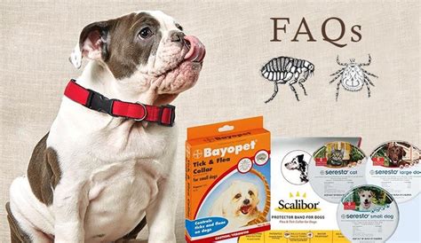 FAQs : Flea And Tick Collars - CanadaPetCare Blog