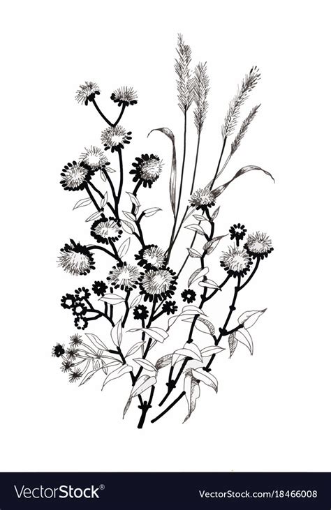 Hand Drawn Flowers Black And White | Best Flower Site