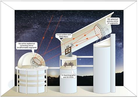 The first decade of the LAMOST survey | LAMOST