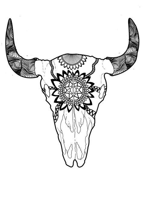 Longhorn Skull Drawing at GetDrawings | Free download