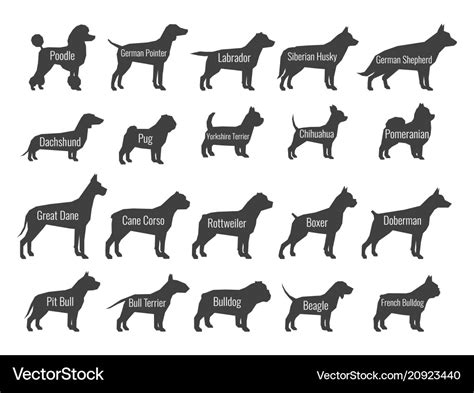 Black dog breeds silhouettes isolated on Vector Image