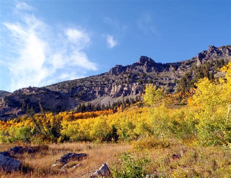 Aaron Wilson Photography: Fall in the Wasatch Mountain Range