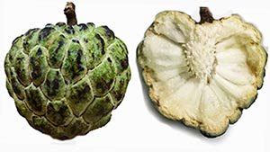 Custard apple Nutrition facts and Health benefits