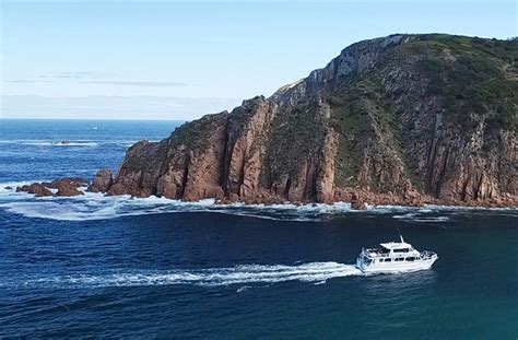 Phillip Island & Wilsons Prom - Boat Tours - Wildlife Coast Cruises