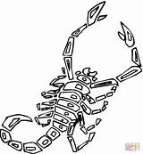 Scorpion coloring pages To Download And Print For Free sketch template