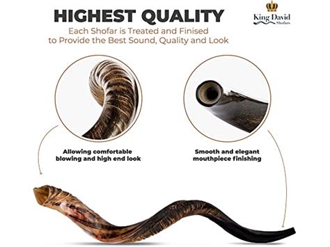 Shofar Horn Instrument