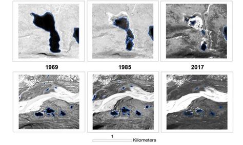 Climate change may make the Arctic tundra a drier landscape | Indian ...