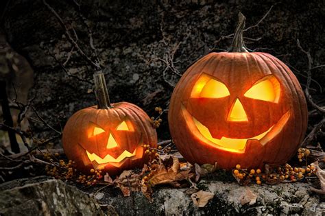 Comment sculpter votre citrouille d’Halloween ! - FreshMAG