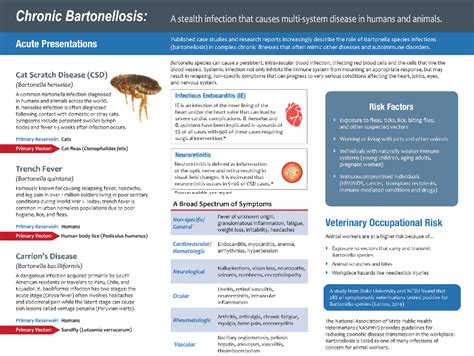 Bartonella Symptoms