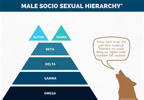 Male Hierarchy Explained: Is This Just Bro Science?