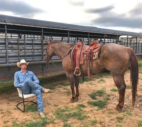 Pin by Luke Roberts on Cowboy/Cowgirl in 2020 | Pbr bull riding, Bull riding, Dale brisby