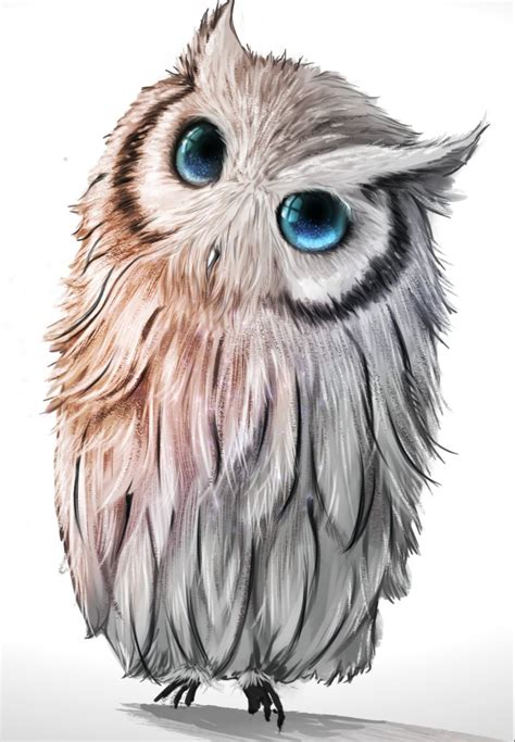 15 Easy, Realistic and Colorful Owl Drawing Step by Step Tutorials for Kids