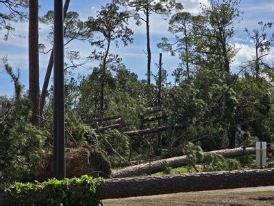 Georgia Power releases key estimated damage statistics from Hurricane ...