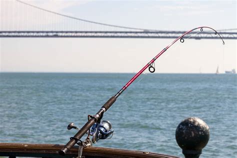 The 6 Best Jigging Rods in 2021 - By Experts