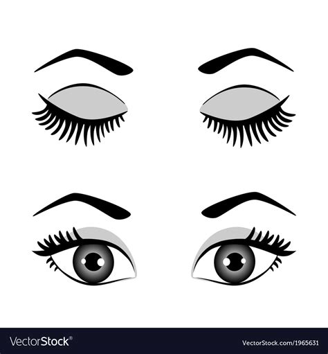 Silhouette of eyes and eyebrow open closed Vector Image