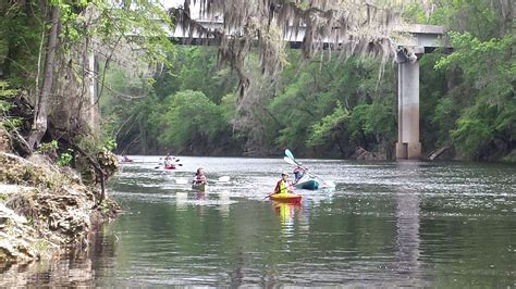 Suwannee River Paddling Festival | Live Oak, Florida | Paddle Florida | Myakka river state park ...