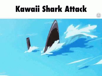 Kawaii shark attack - Kawaii Shark Attack - iFunny