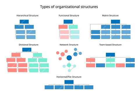 Premium Vector | 7 types of organizational structures to organize the company organization chart