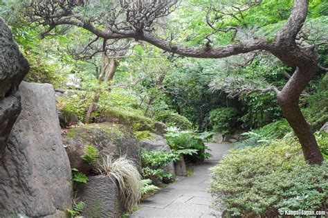 Nezu Museum - Elegant marriage of art and nature