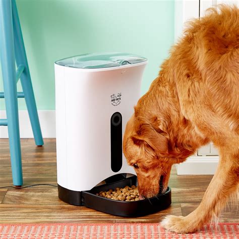 The 14 Best Automatic Pet Feeders and Water Fountains