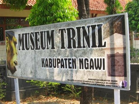 Museum Trinil Kawu Kedunggalar Ngawi Jawa Timur - Detik News