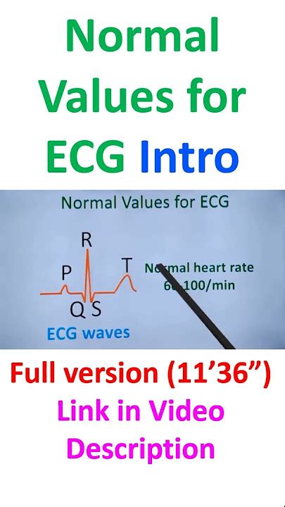 EKG Vs ECG What's The Difference Between ECG And EKG?, 42% OFF