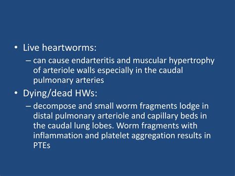 PPT - HEARTWORM DISEASE PowerPoint Presentation, free download - ID:2066943