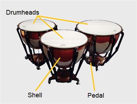 Timpani – West Virginia Symphony Orchestra Kids