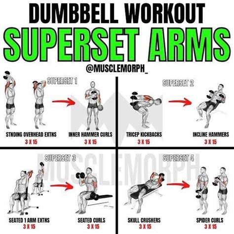 What is the best arm workout for beginners who want to add size? - Quora