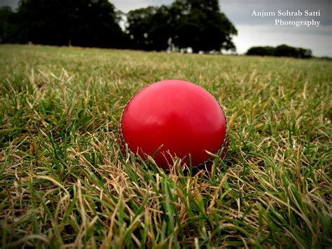 Cricket Ball | Cricket ball at Wanstead Park, Essex, England… | Anjum Sohrab Khan Satti | Flickr